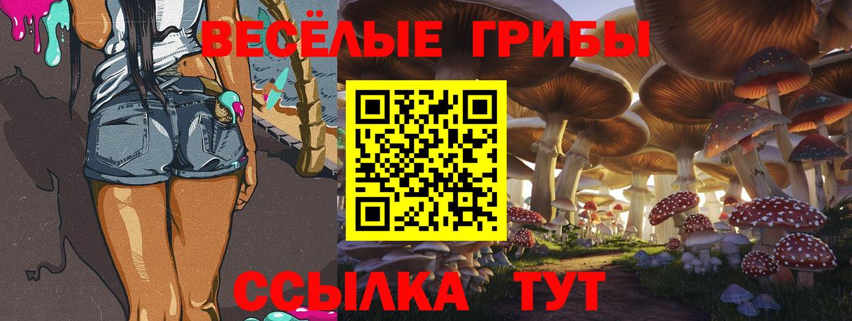 Дубна  Псилоцибиновые грибы Cubensis  Вход с VPN  Псилоцибиновые грибы ЛСД 
